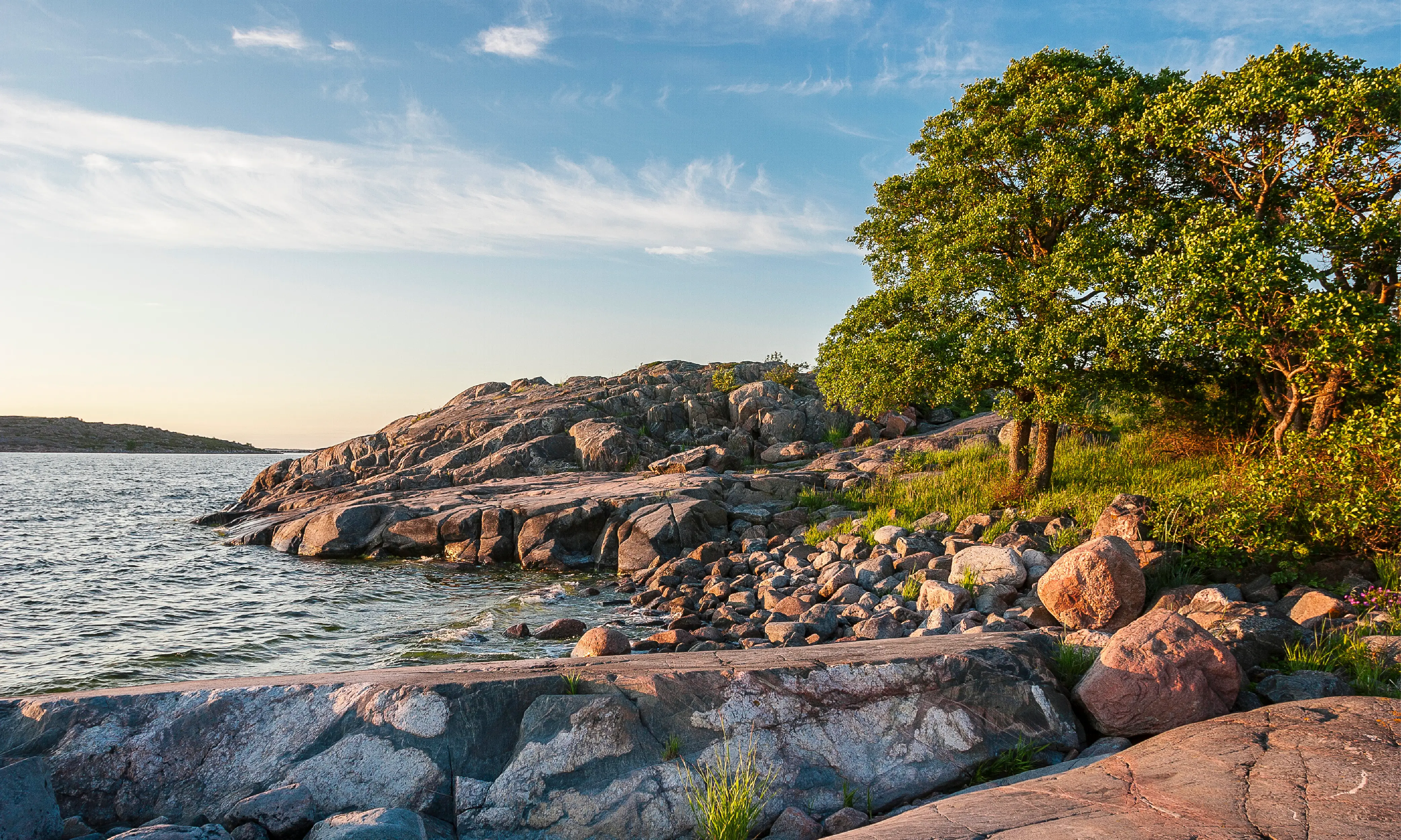 Miljö & kvalitet